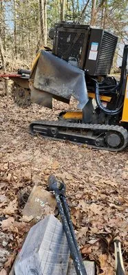 T & N Tree Service