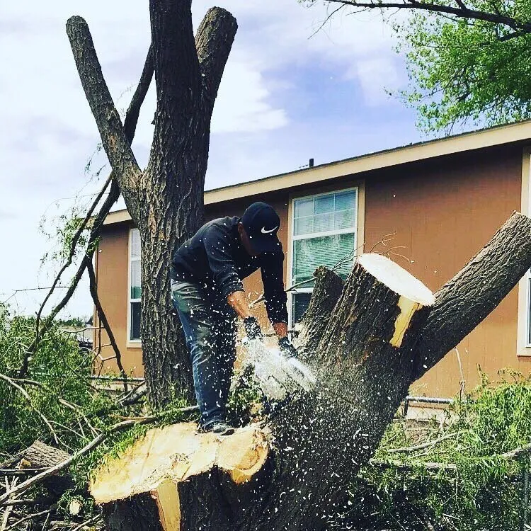 Trusted outdoor landscaping experts serving Farmington, NM - T & R Tree Service And Landscaping