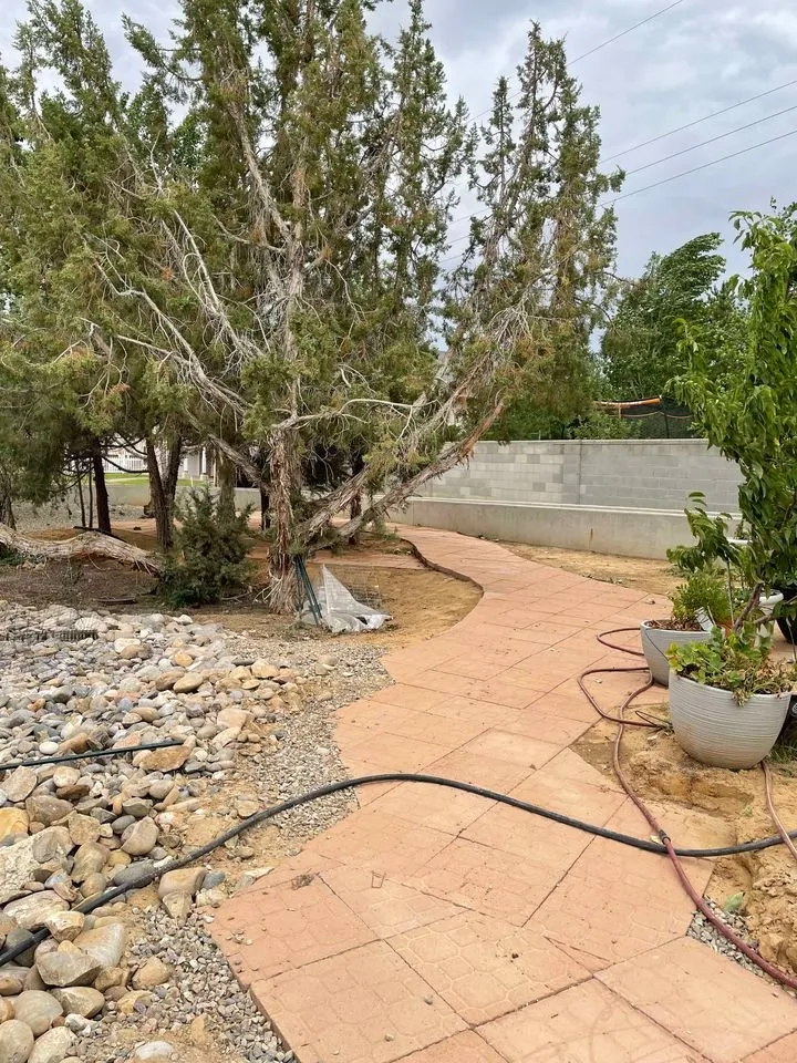 Professional lawn mowing service experts serving Farmington, NM - T & R Tree Service And Landscaping