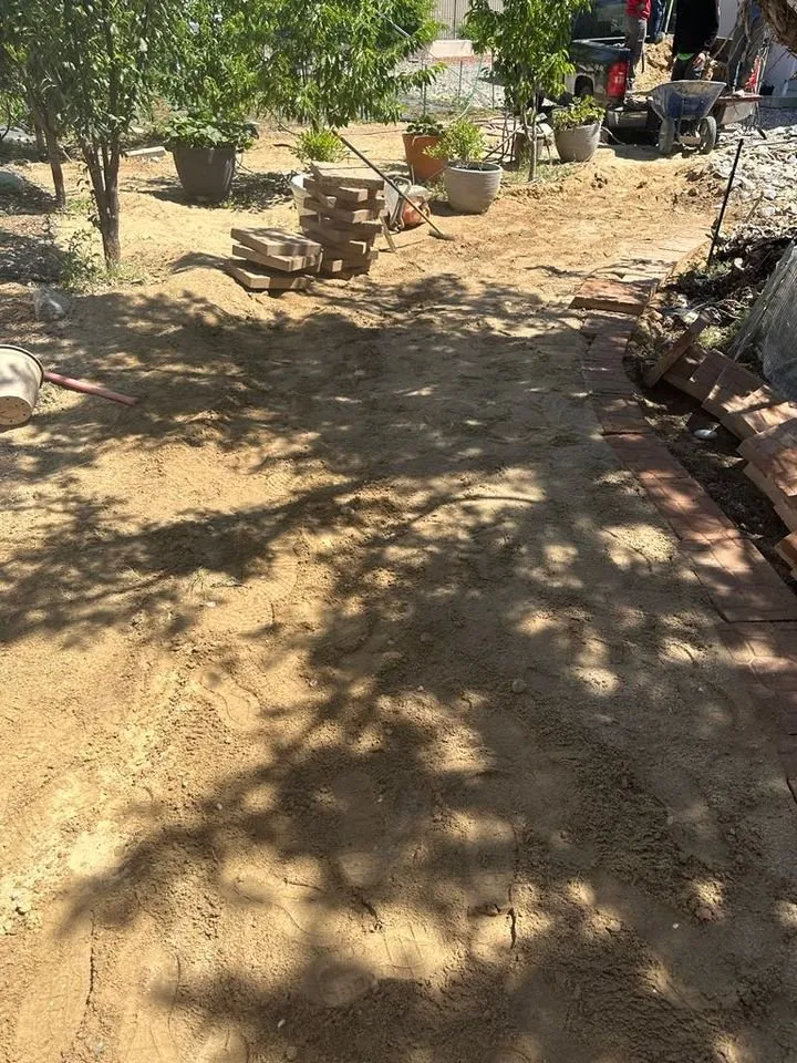 Top-rated lawn care service experts serving Farmington, NM - T & R Tree Service And Landscaping