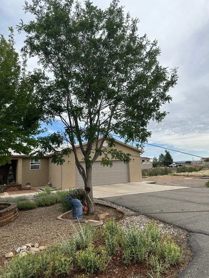 Professional residential landscaping for beautiful yards across Farmington, NM - T & R Tree Service And Landscaping