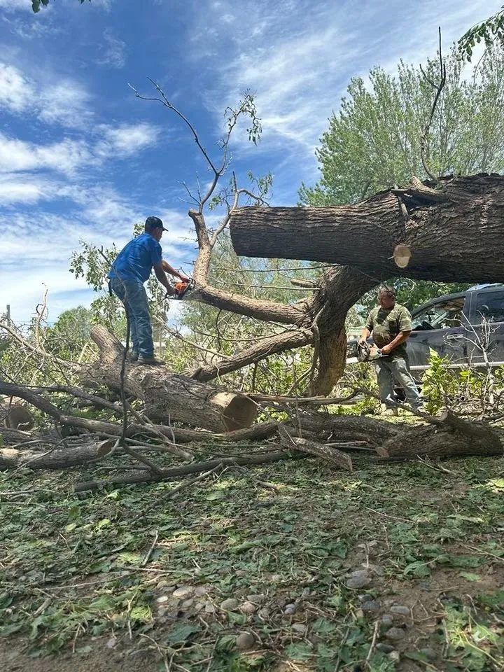 Trusted yard cleanup service for outdoor upgrades across Farmington, NM - T & R Tree Service And Landscaping