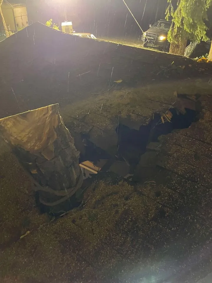 Expert yard maintenance experts serving Farmington, NM - T & R Tree Service And Landscaping