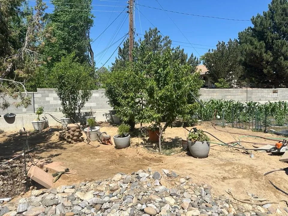 Local lawn mowing service near you in Farmington, NM by T & R Tree Service And Landscaping