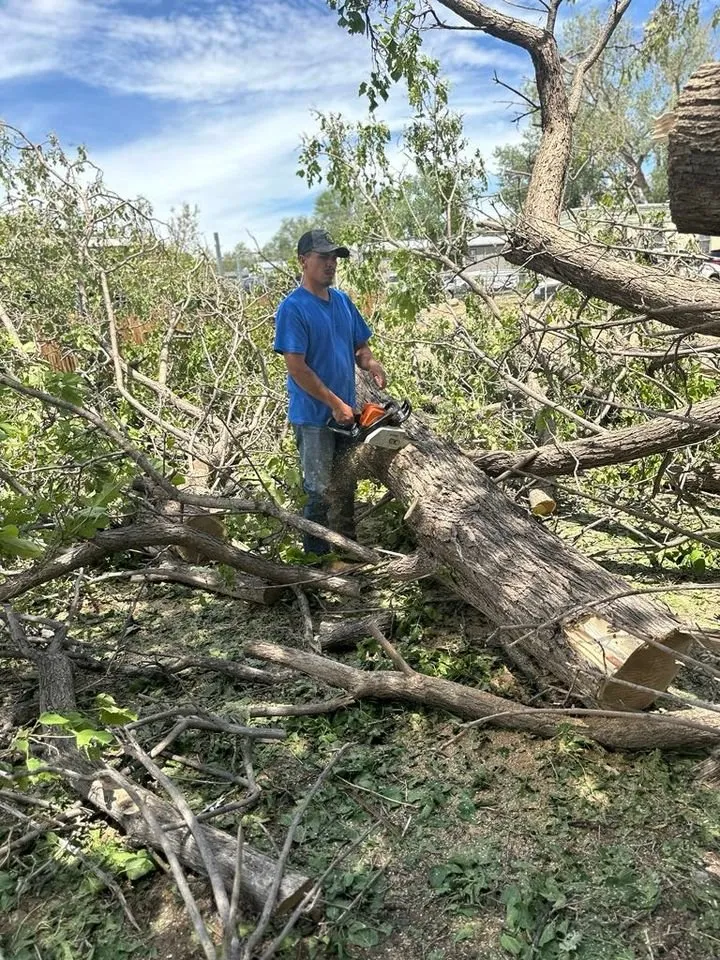 Reliable landscape installation near you in Farmington, NM by T & R Tree Service And Landscaping