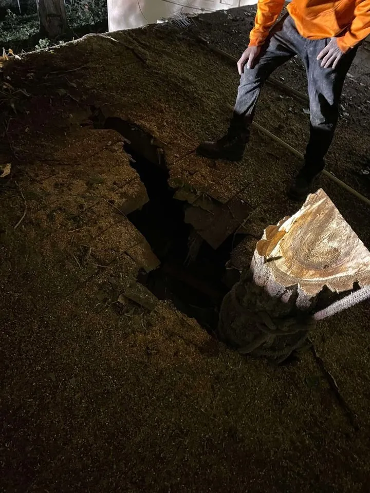 Professional residential landscaping for year-round maintenance in Farmington, NM by T & R Tree Service And Landscaping