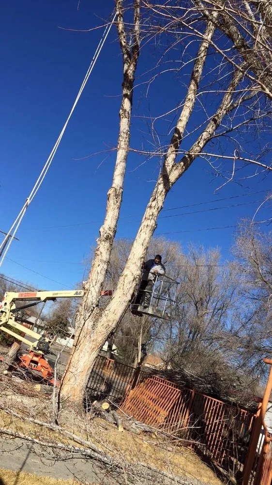 Reliable residential landscaping in Farmington, NM - T & R Tree Service And Landscaping