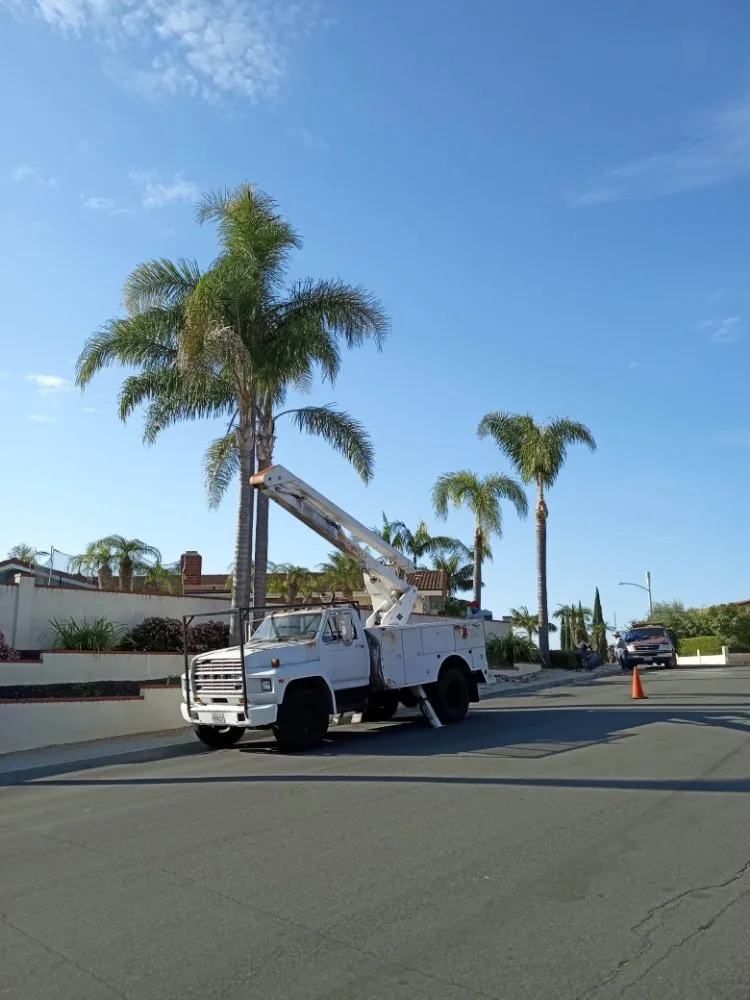 Trusted outdoor landscaping experts serving San Diego, CA - T & R Tree Service