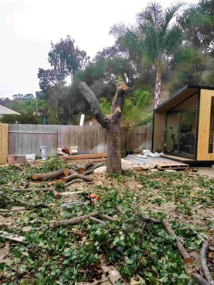 Custom lawn mowing service experts serving San Diego, CA - T & R Tree Service