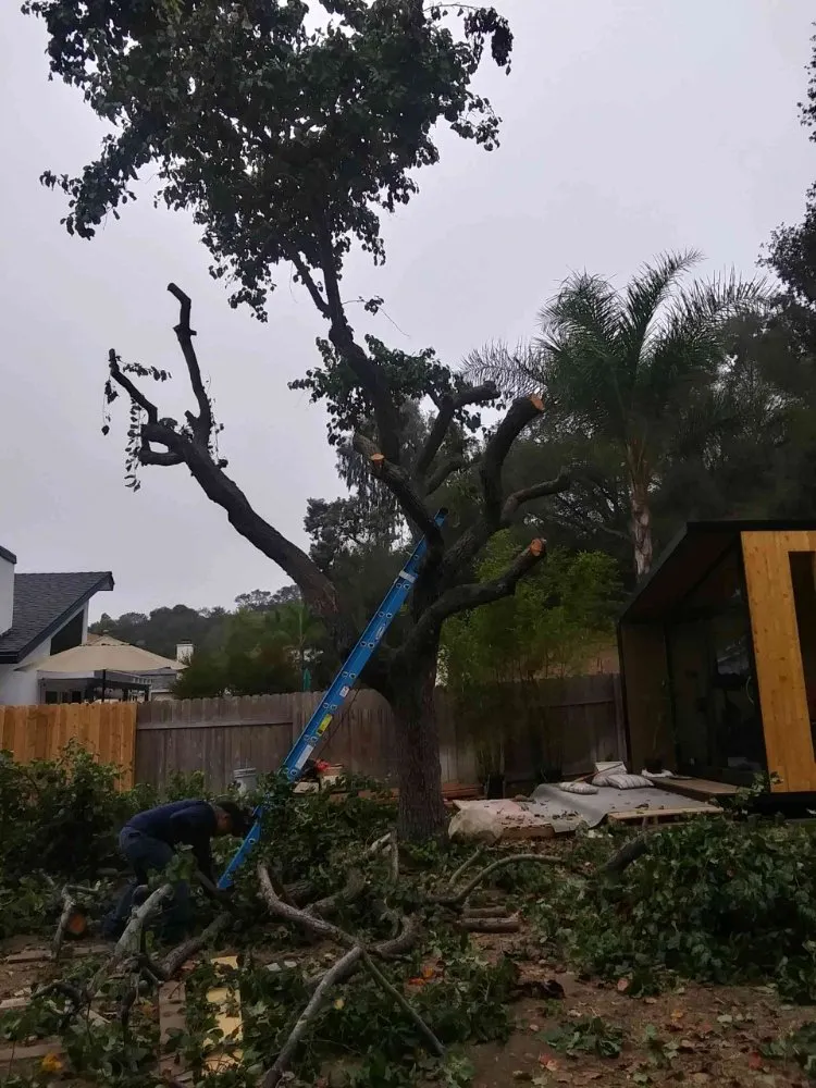 Expert residential landscaping with custom design across San Diego, CA - T & R Tree Service