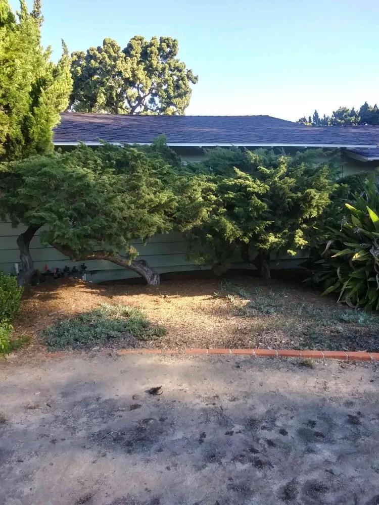 Reliable garden landscaping for outdoor upgrades across San Diego, CA - T & R Tree Service