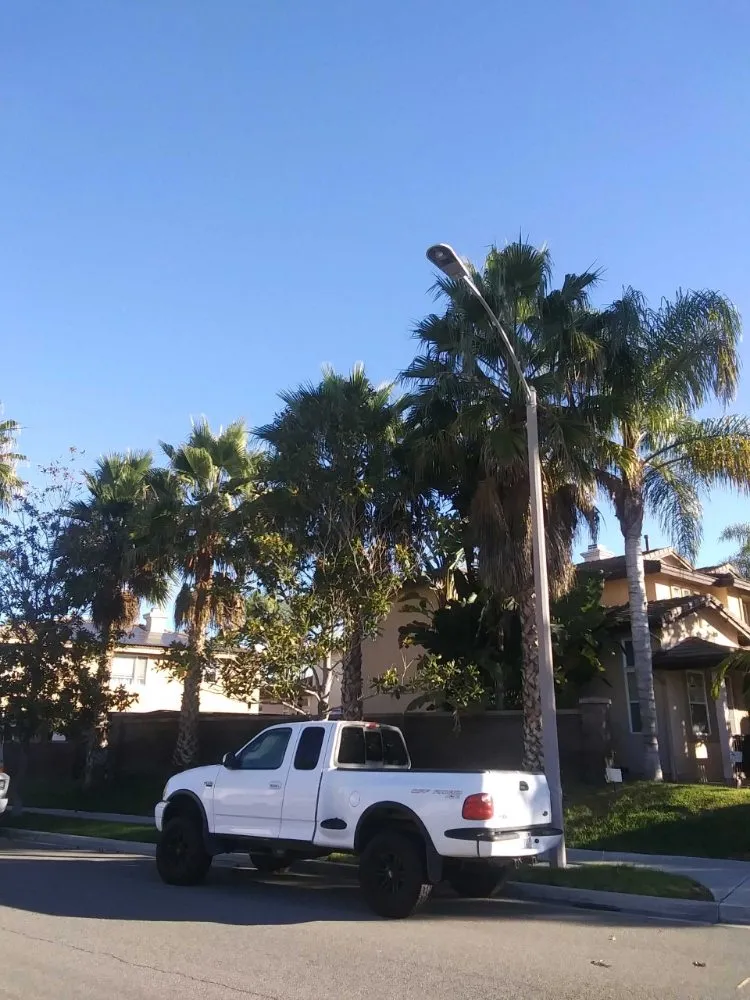 Top-rated landscape design near you in San Diego, CA by T & R Tree Service