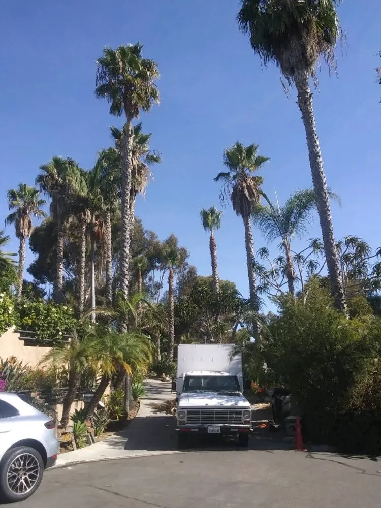 Professional landscaping services in San Diego, CA - T & R Tree Service