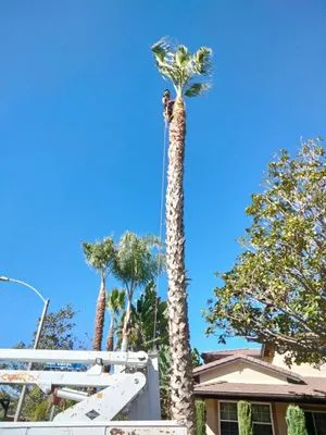 T & R Tree Service Logo