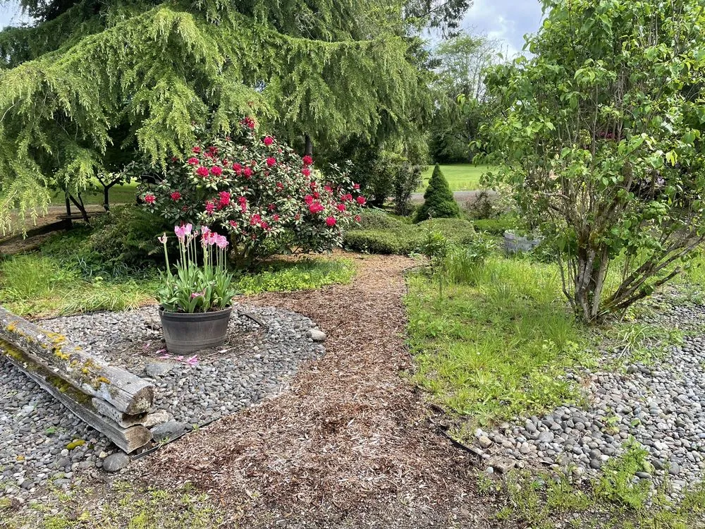 Expert landscape design near you in Shelton, WA by T & S Clean Up & Removal