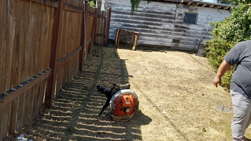 Affordable landscape installation experts serving Shelton, WA - T & S Clean Up & Removal