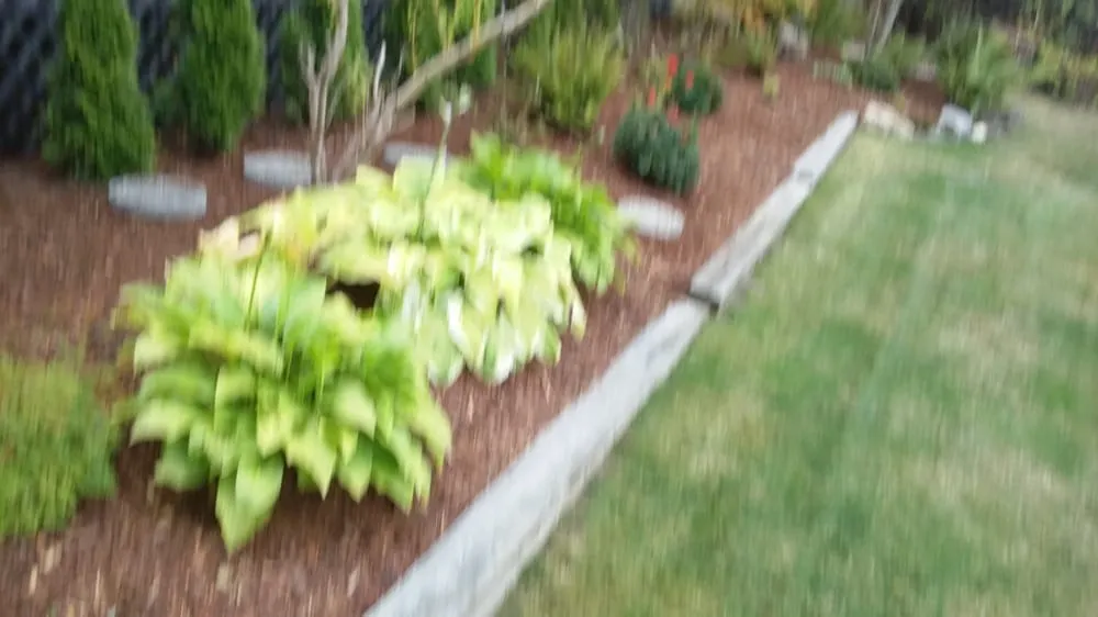 Custom landscaping services near you across Shelton, WA - T & S Clean Up & Removal