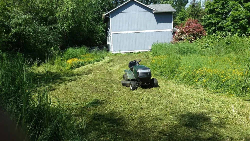 Reliable landscaping services experts serving Shelton, WA - T & S Clean Up & Removal