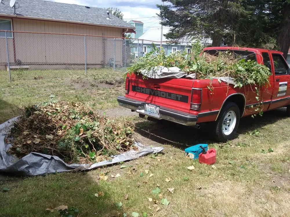 Top-rated lawn care service for outdoor upgrades across Shelton, WA - T & S Clean Up & Removal