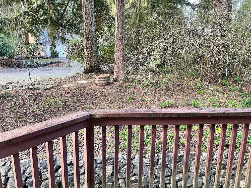 Affordable lawn mowing service in Shelton, WA - T & S Clean Up & Removal