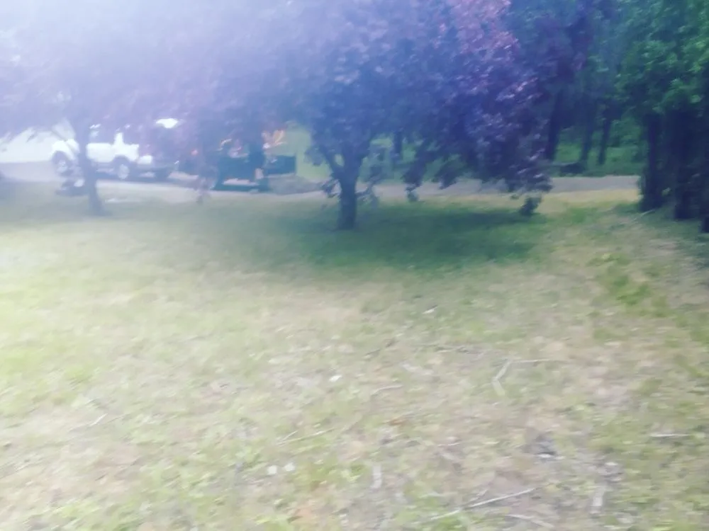 Custom yard maintenance for year-round maintenance across Shelton, WA - T & S Clean Up & Removal