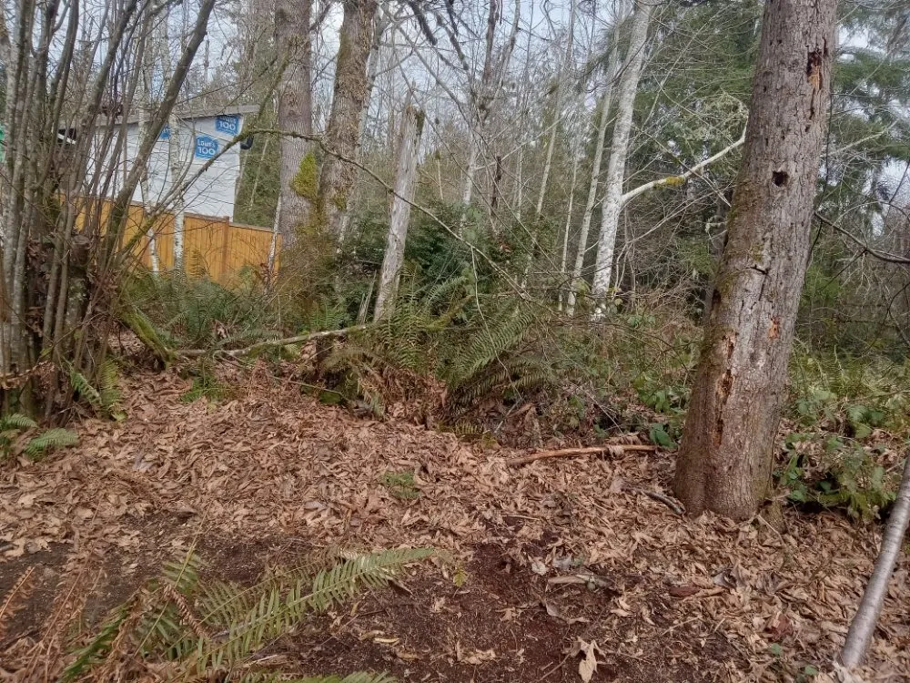 Reliable landscaping services in Shelton, WA by T & S Clean Up & Removal