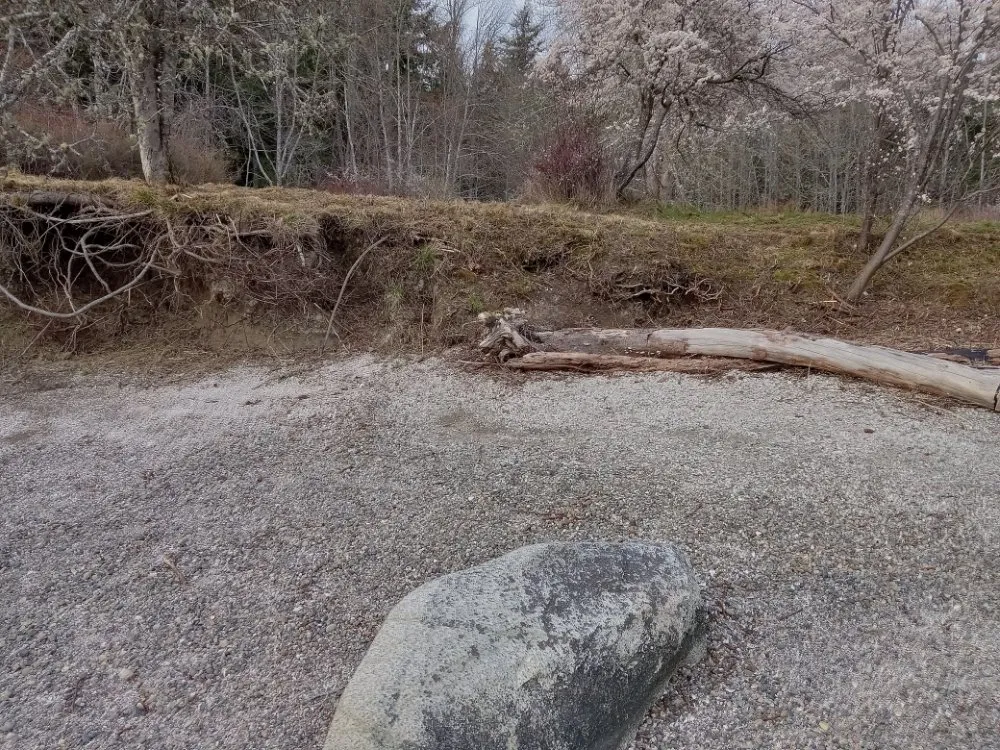 Affordable landscape installation for beautiful yards in Shelton, WA by T & S Clean Up & Removal