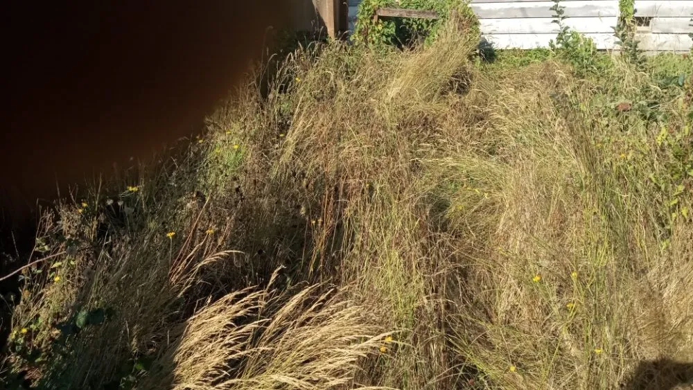 Trusted garden landscaping for outdoor upgrades in Shelton, WA by T & S Clean Up & Removal