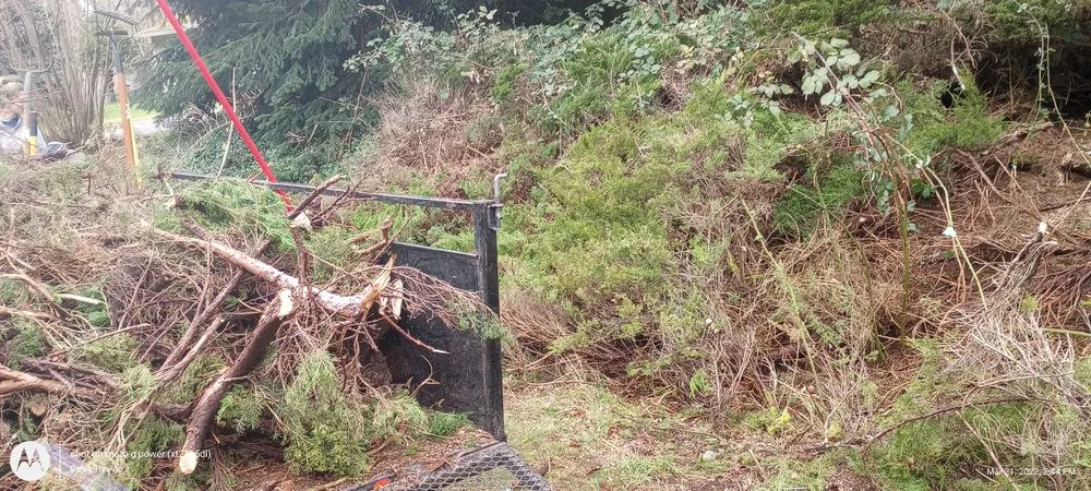 Affordable landscape installation experts serving Shelton, WA - T & S Clean Up & Removal