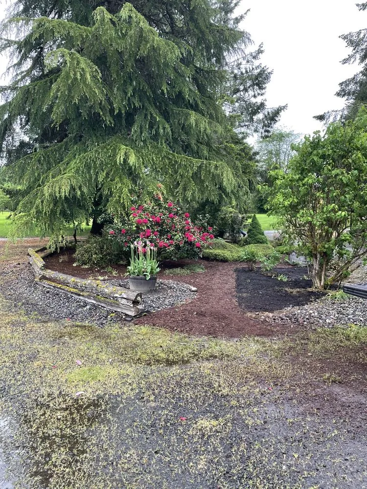 Reliable lawn mowing service for year-round maintenance across Shelton, WA - T & S Clean Up & Removal