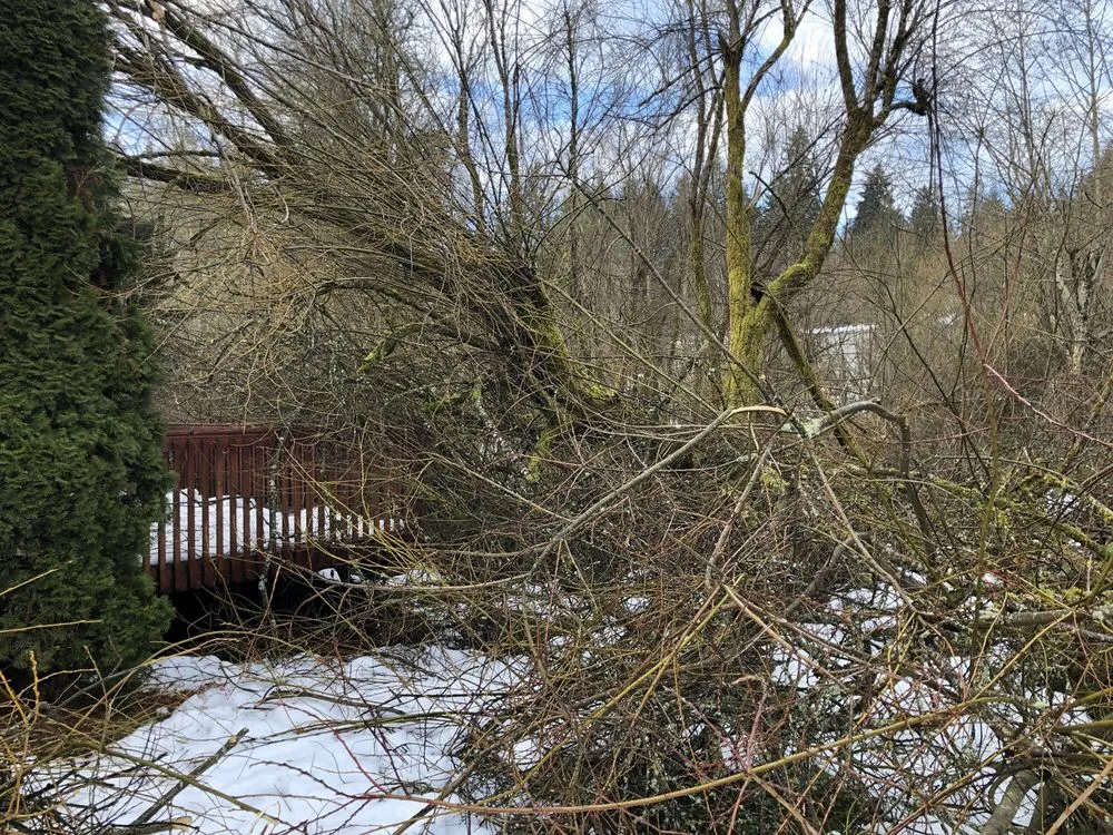 Top-rated outdoor landscaping in Shelton, WA - T & S Clean Up & Removal