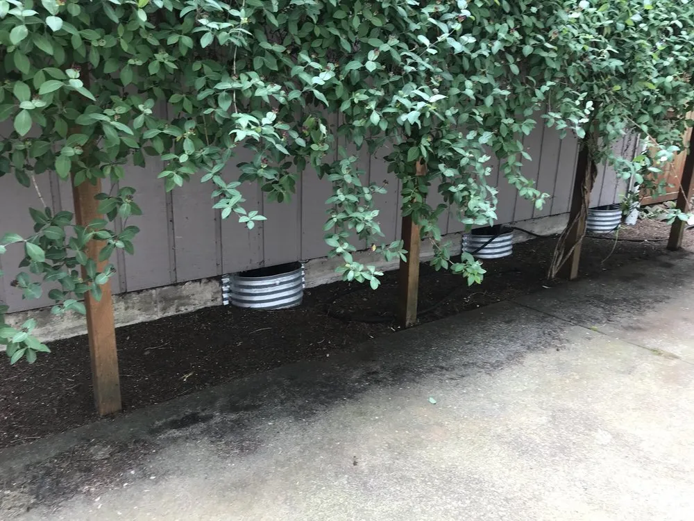 Reliable landscape installation in Shelton, WA - T & S Clean Up & Removal