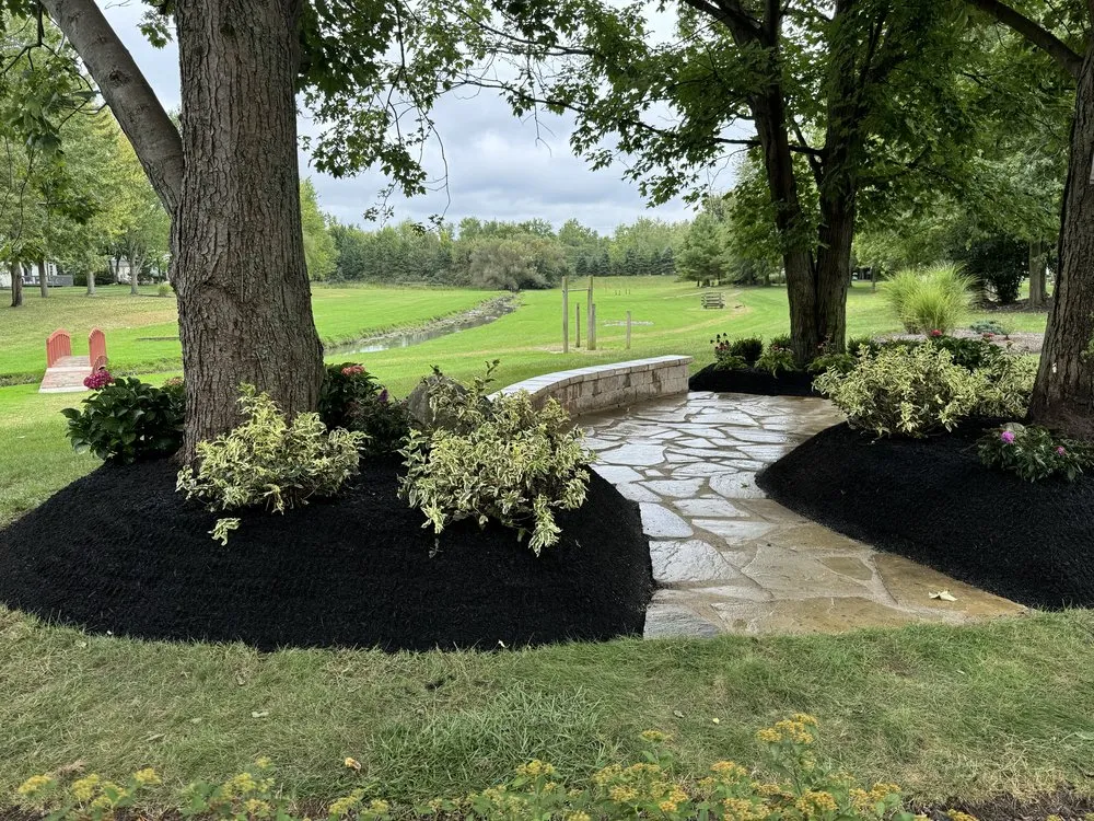 Expert lawn mowing service with custom design across Lorain, OH - T & S Contractors