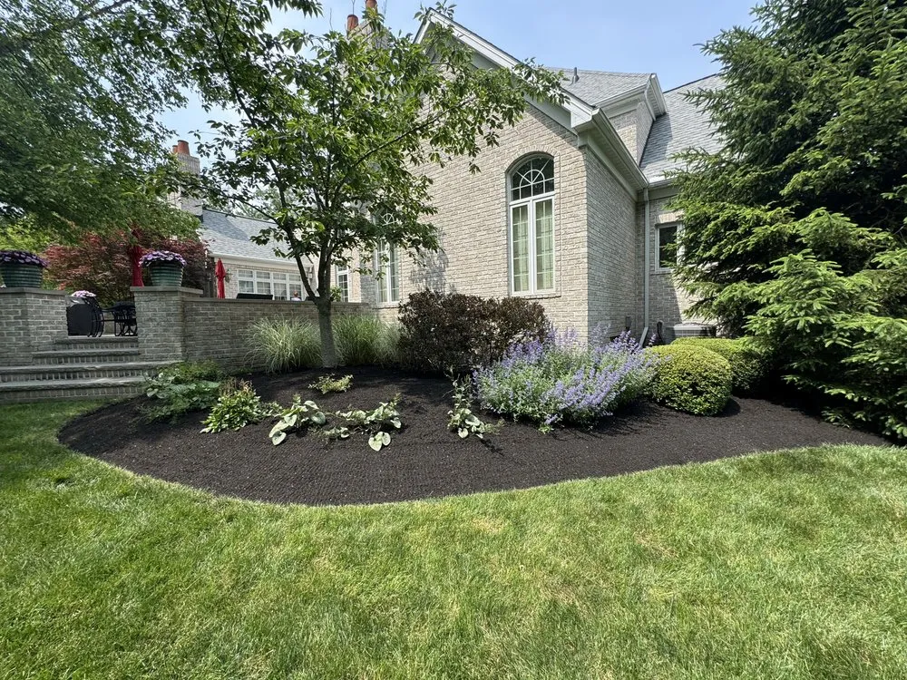 Affordable lawn mowing service for residential properties in Lorain, OH by T & S Contractors