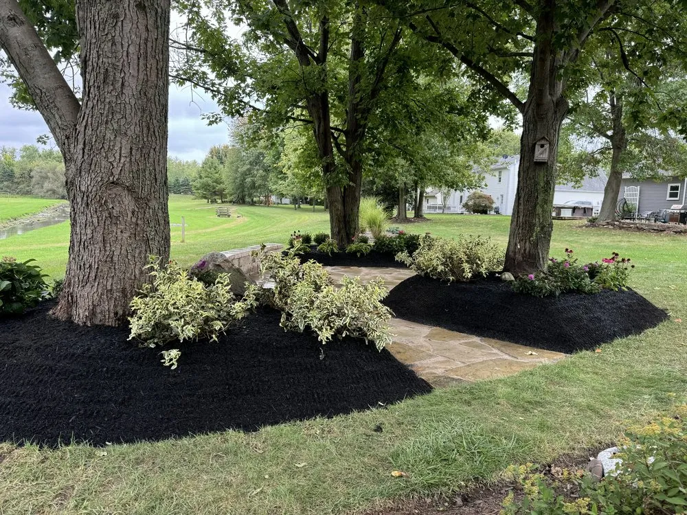 Top-rated residential landscaping near you in Lorain, OH by T & S Contractors