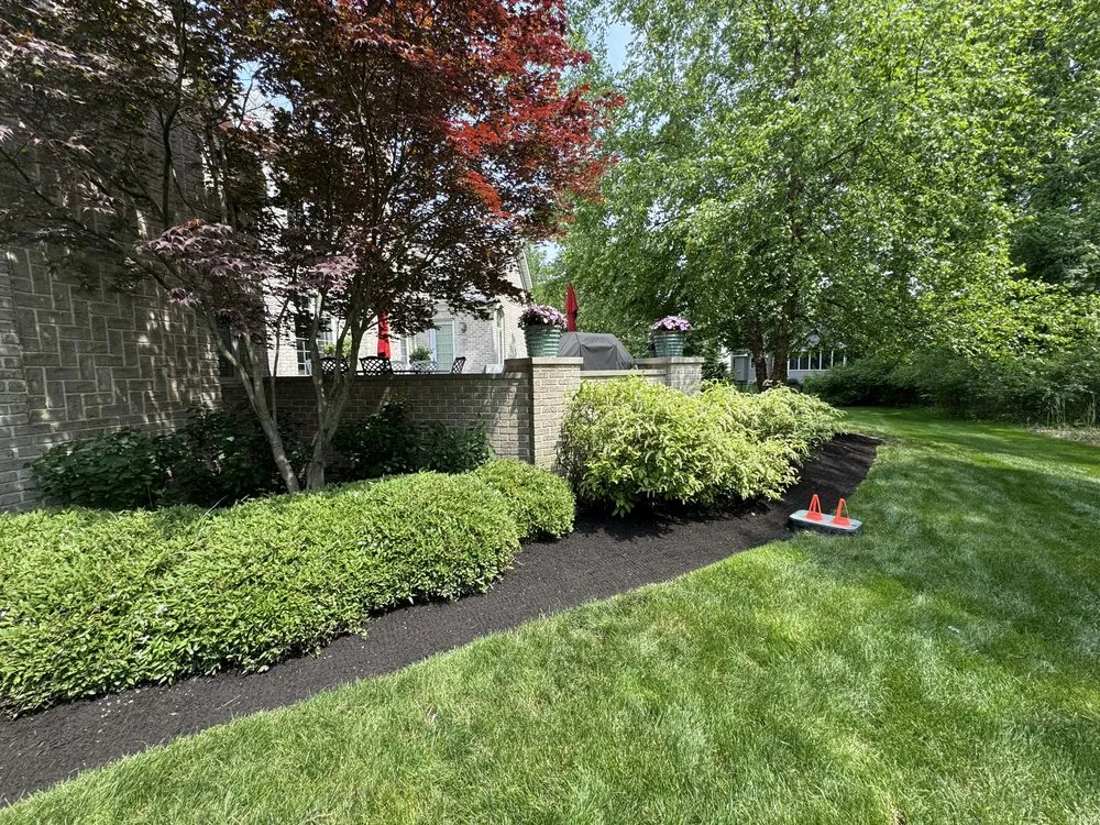 Professional lawn care service for year-round maintenance in Lorain, OH by T & S Contractors