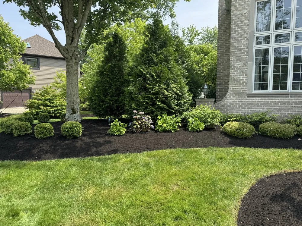 Custom landscape installation experts serving Lorain, OH - T & S Contractors