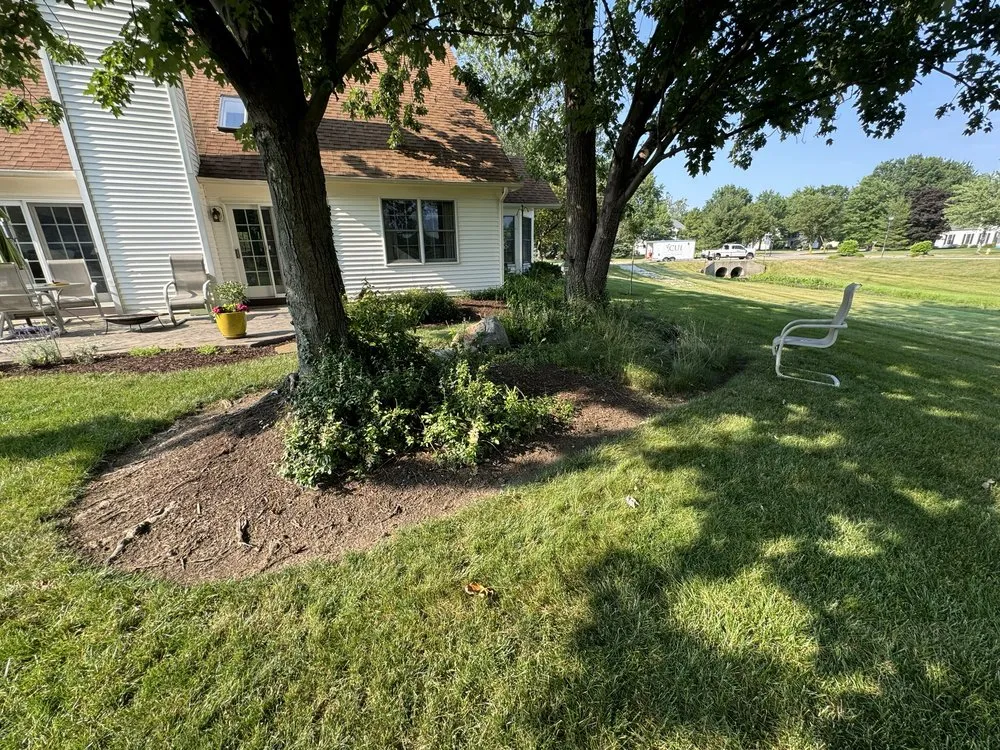 Affordable landscape installation for year-round maintenance across Lorain, OH - T & S Contractors