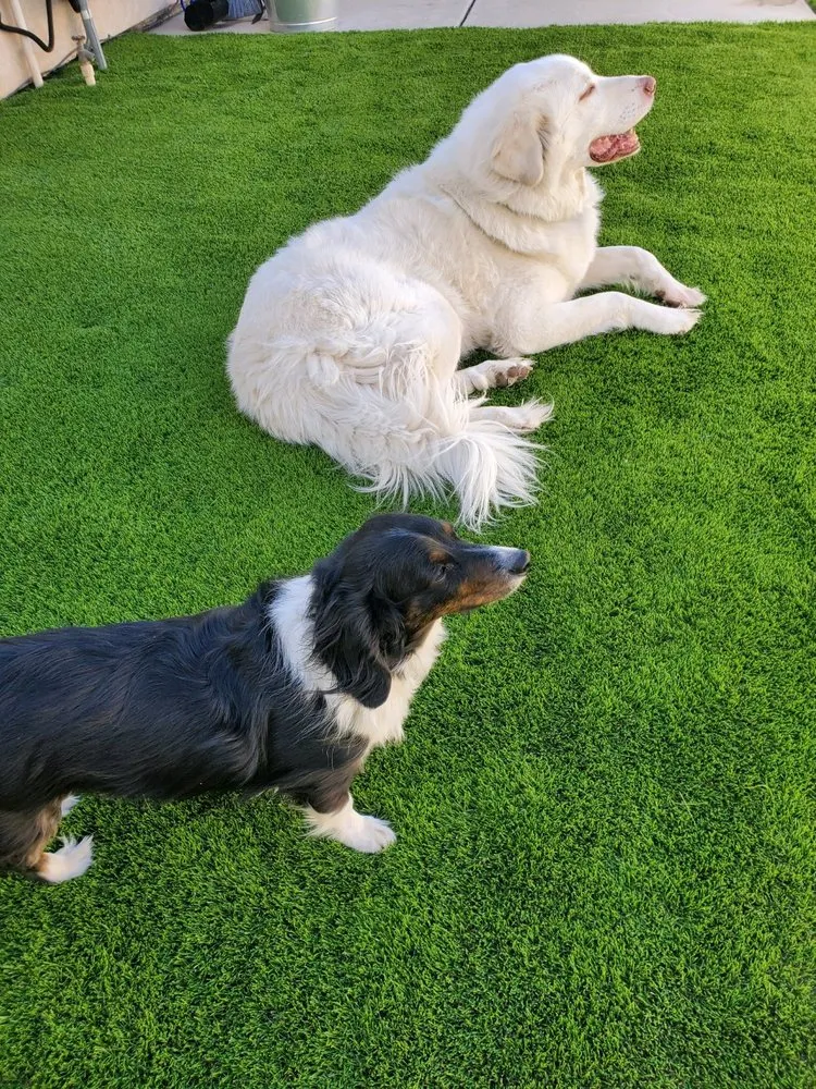 Top-rated yard cleanup service in Grand Junction, CO by T & S Curbing & Landscape