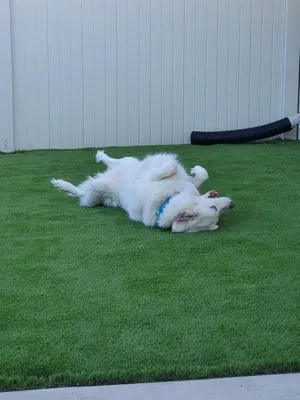 T & S Curbing & Landscape