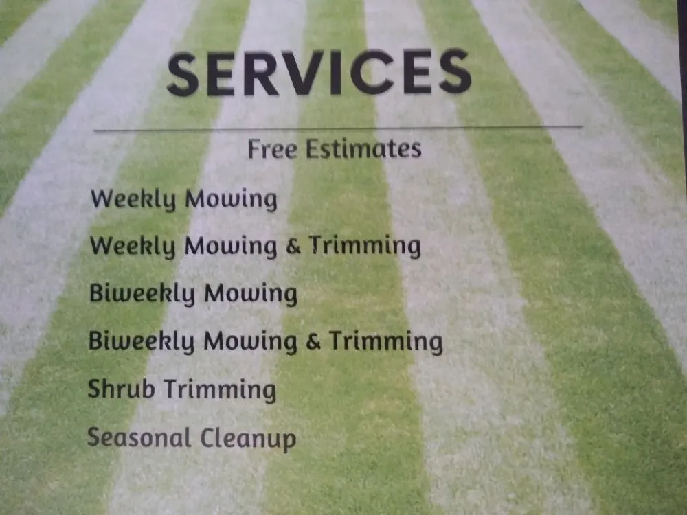 Professional yard maintenance near you across Millis, MA - T & S Lawn Service