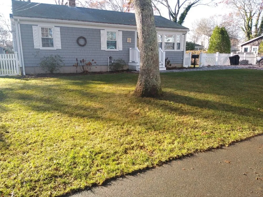 Expert residential landscaping in Millis, MA by T & S Lawn Service