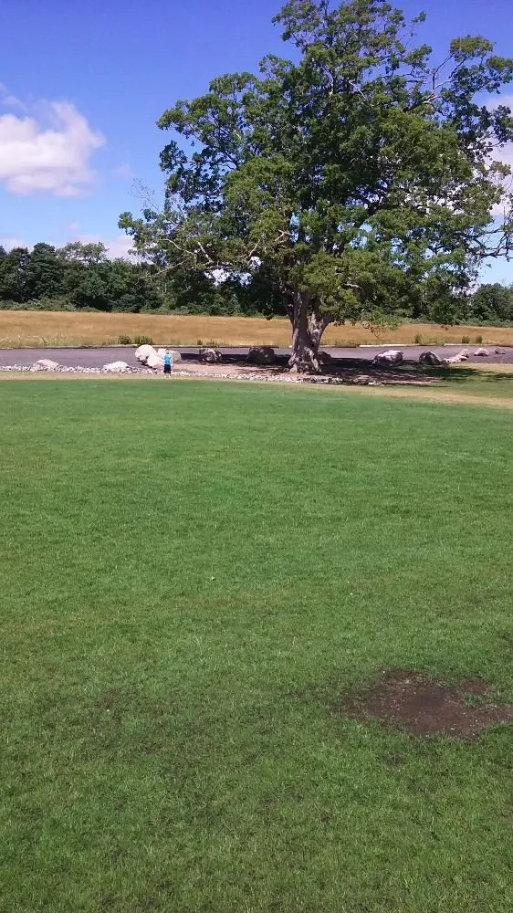 Reliable outdoor landscaping near you across Millis, MA - T & S Lawn Service