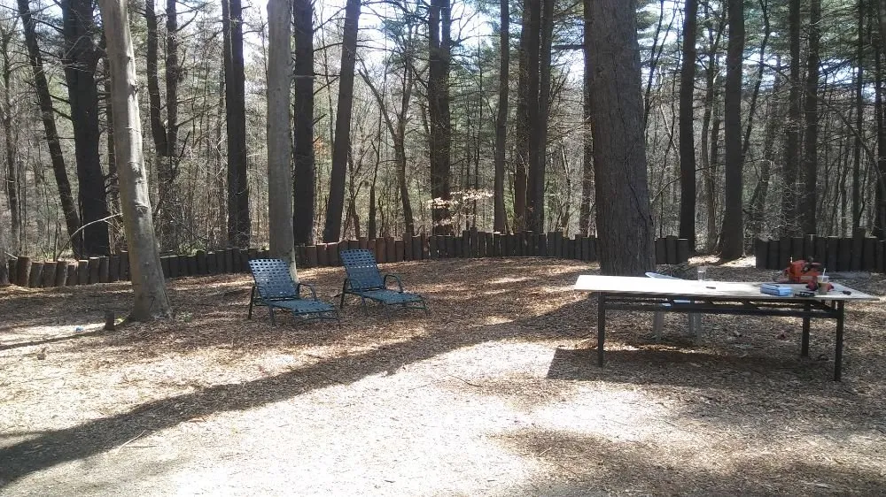 Reliable yard cleanup service in Millis, MA - T & S Lawn Service