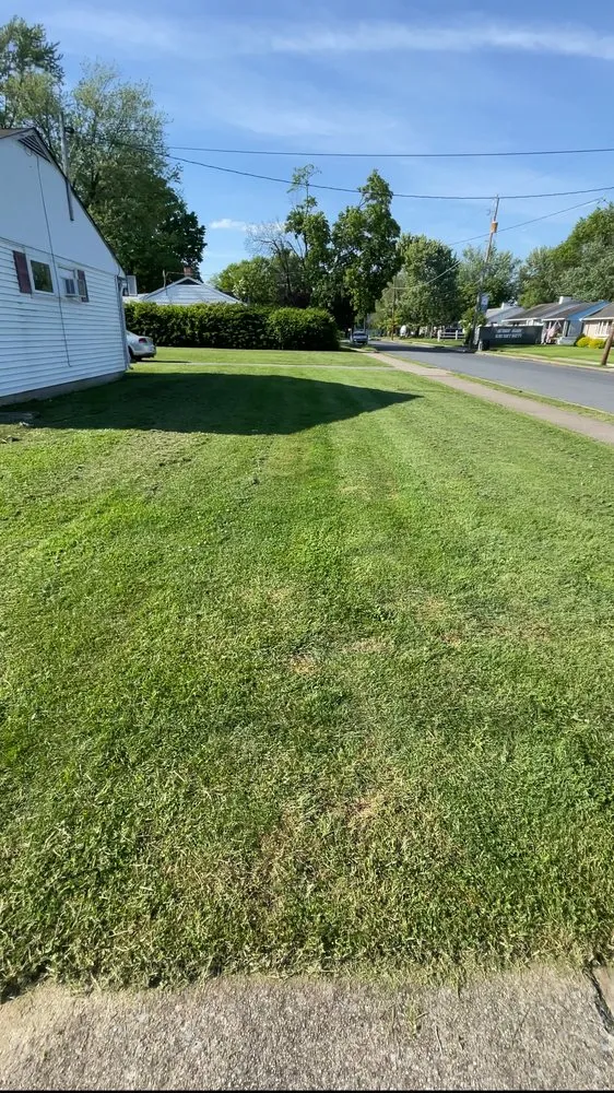 Affordable yard cleanup service for residential properties in Bernville, PA by T & S Lawncare