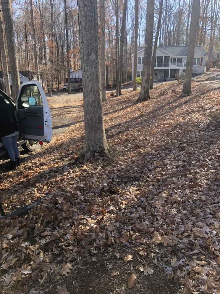 Local outdoor landscaping for homes across Orange, VA - T & S Services