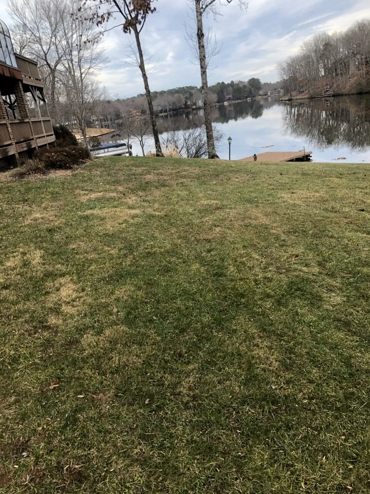 Affordable landscaping services experts serving Orange, VA - T & S Services