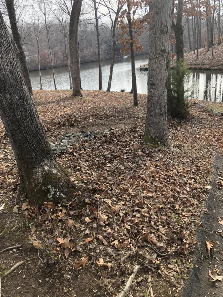 Local landscape installation in Orange, VA - T & S Services