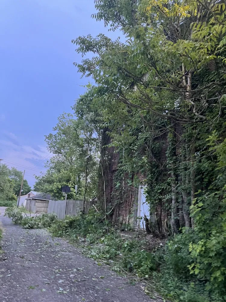 Expert lawn mowing service for homes in Zanesville, OH by T & S Services