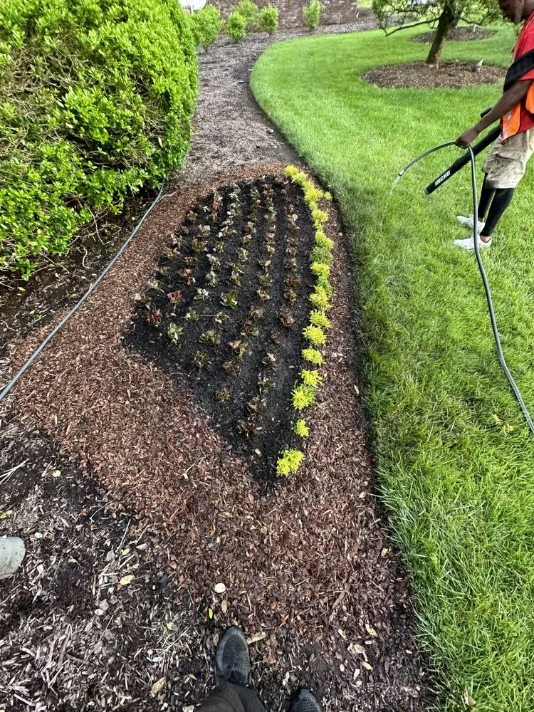 Affordable outdoor landscaping experts serving Murfreesboro, TN - T & T Earthcare